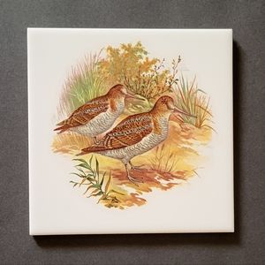 Plover Tile Deco/Trivit